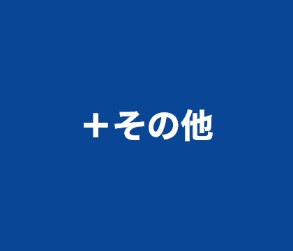 ＋その他